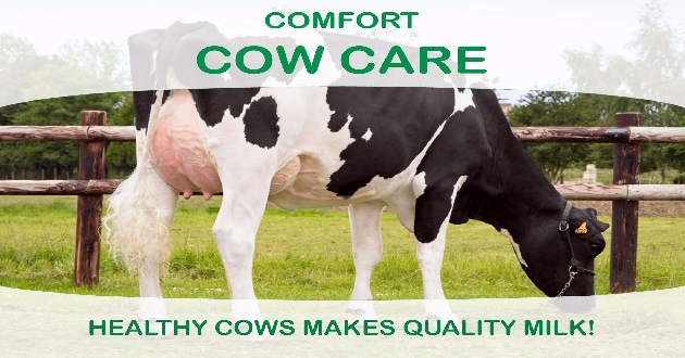 Confort Cow Care