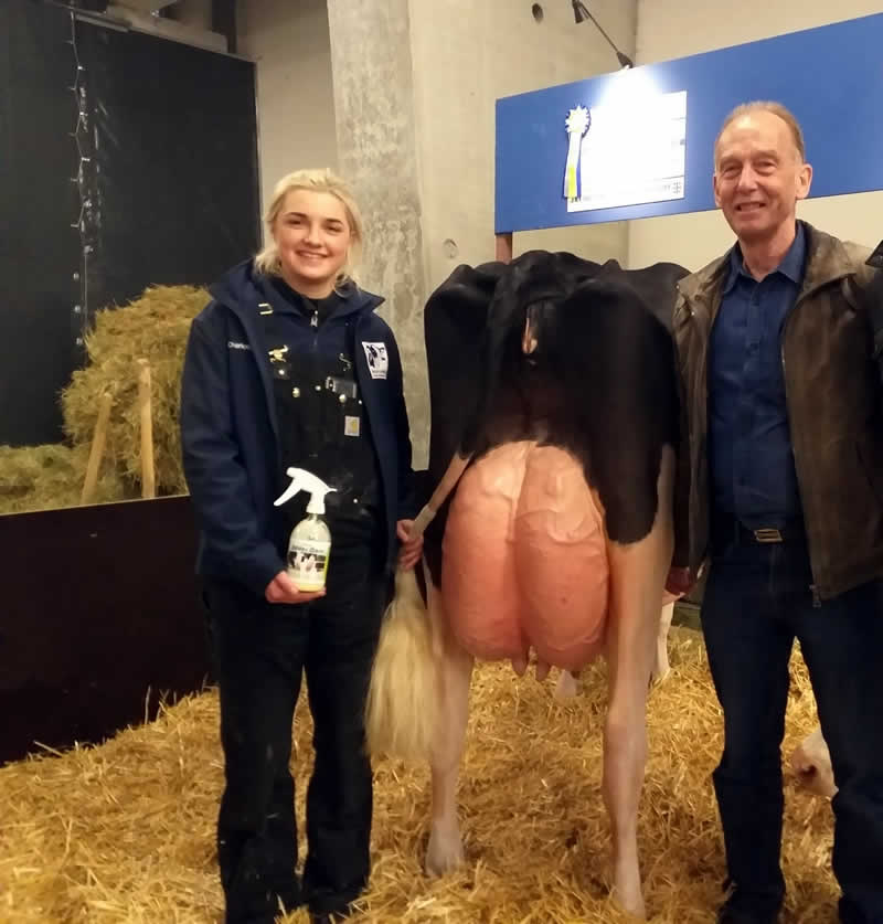 Eerste prijs oude koeien Europese show Libramont 2019