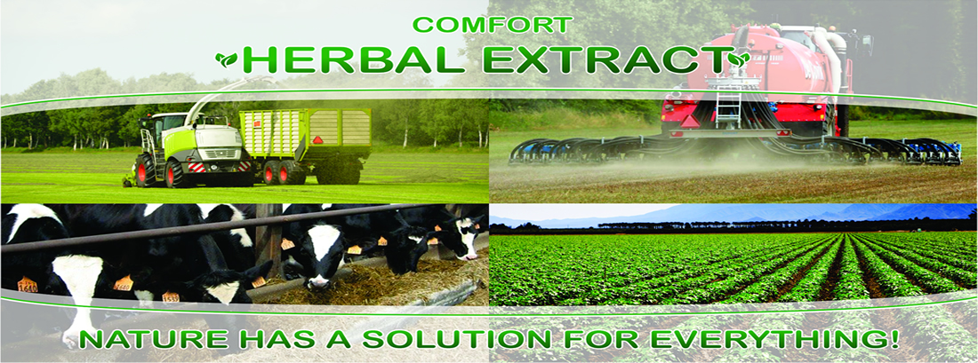 Comfort Herbal Extract