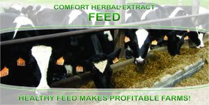 Comfort Herbal Extract Feed