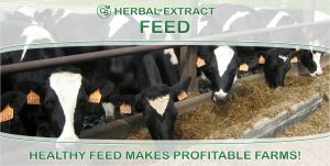 Cs He 1photo Banner En Feed Digital Use
