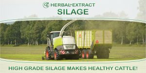 Cs He 1photo Banner En Silage Digital Use