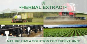 Cs He 4photo Banner En Digital Use